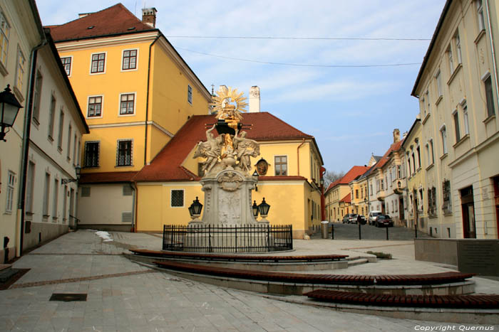 Standbeeld Gyor / Hongarije 