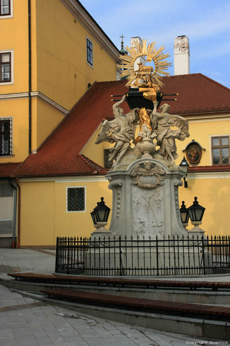 Standbeeld Gyor / Hongarije 