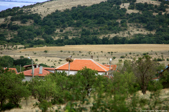 Ooievaarskopel lente 2013 Izvorishte / Bulgarije 