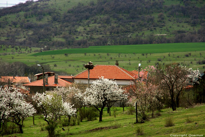 Uitzicht in de lente Izvorishte / Bulgarije 