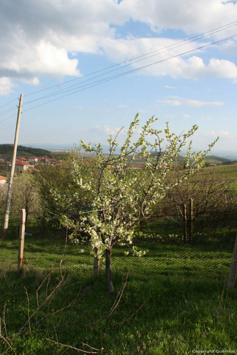 Uitzicht in de lente Izvorishte / Bulgarije 