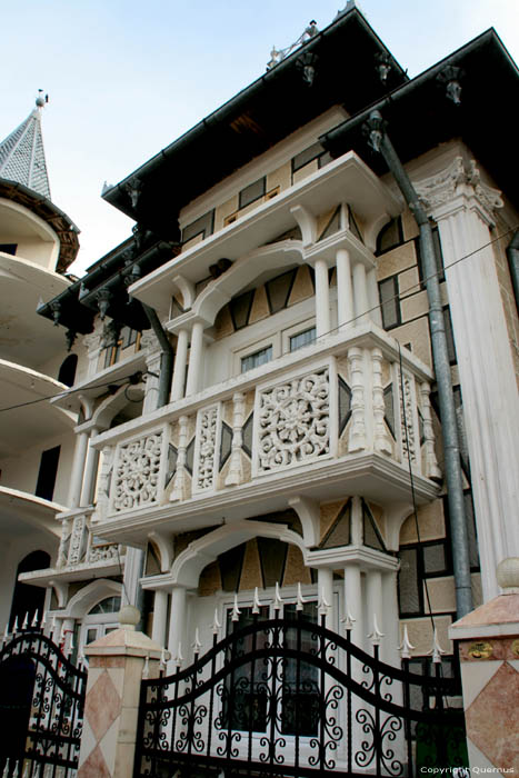 Maison Deux Fleures Buzescu / Roumanie 