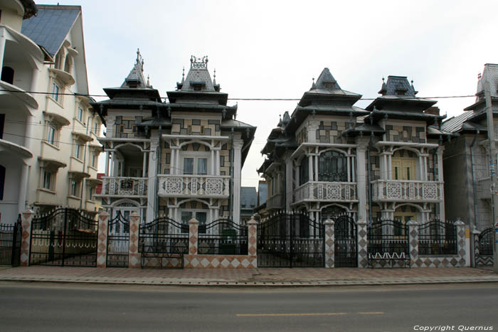 Maison Deux Fleures Buzescu / Roumanie 