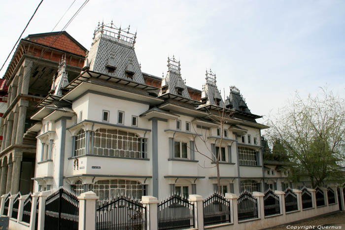 ILI UTA ROXY FLORA House Buzescu / Romania 