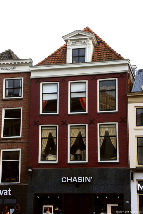 Rosendael House Utrecht / Netherlands 