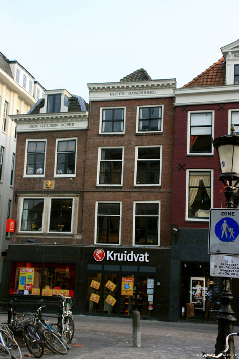 Maison Petit Rosendael Utrecht / Pays Bas 