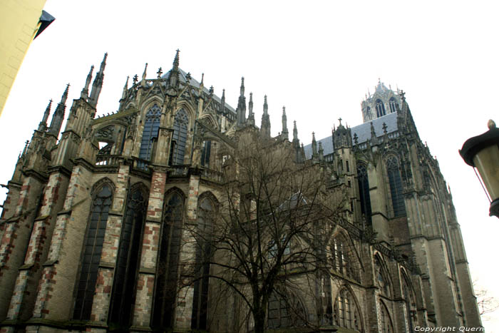 Dom Church or Saint Martin's Cathedral Utrecht / Netherlands 