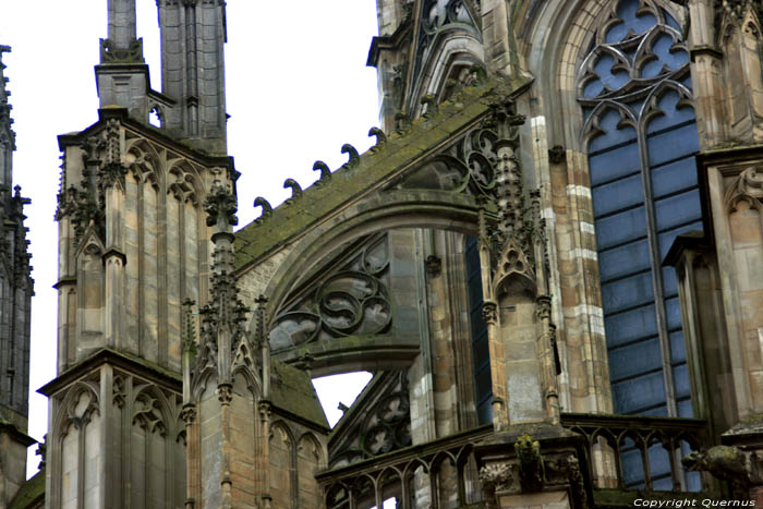 Dom Church or Saint Martin's Cathedral Utrecht / Netherlands 