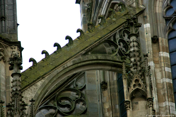 Domkerk of Sint-Maartenscathedraal Utrecht / Nederland 