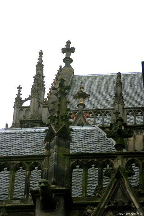 Dom Church or Saint Martin's Cathedral Utrecht / Netherlands 