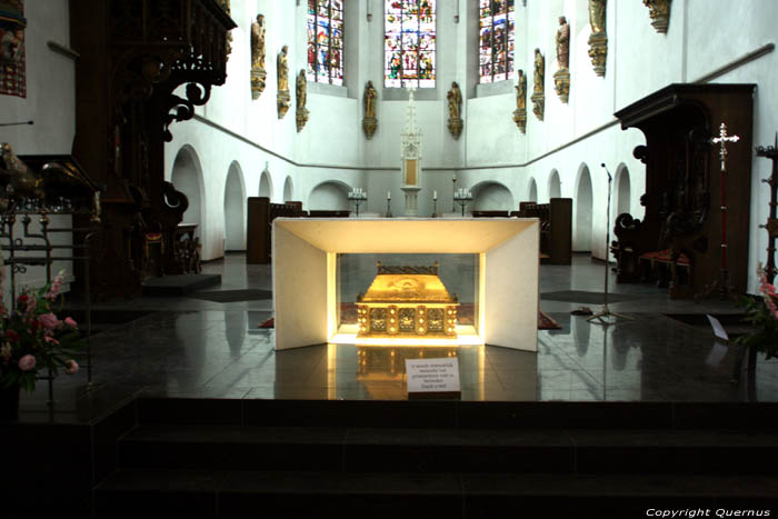 Saint Catherina's cathedral Utrecht / Netherlands 