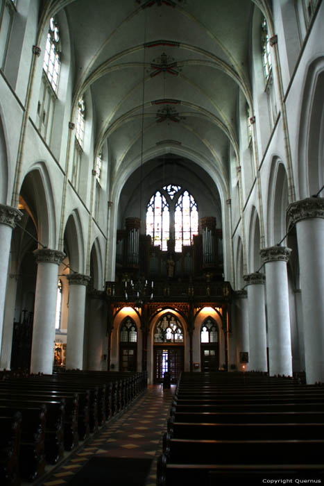 Sint-Catharinacathedraal Utrecht / Nederland 