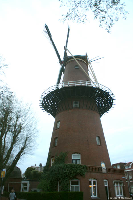 Moulin Rijn et Soleil Utrecht / Pays Bas 