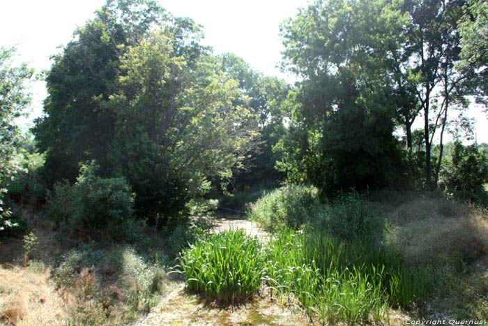 Petit Lac Izvorishte / Bulgarie 