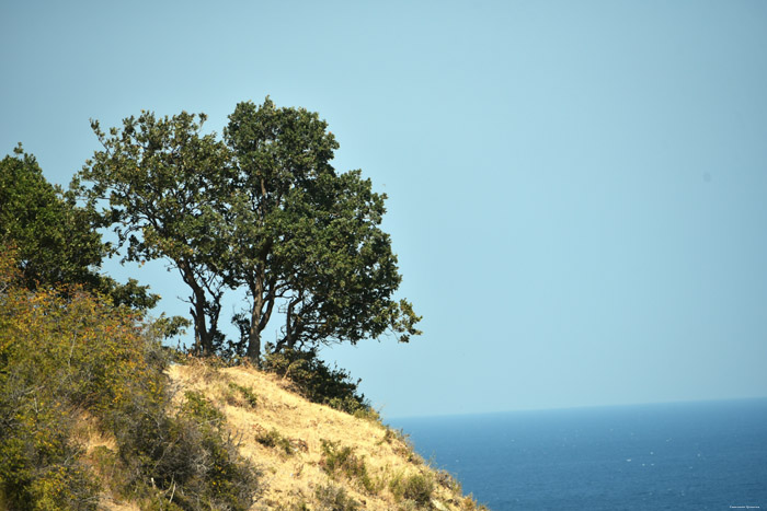 Coast Emona / Bulgaria 