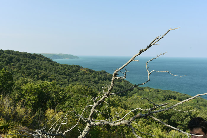 Coast Emona / Bulgaria 