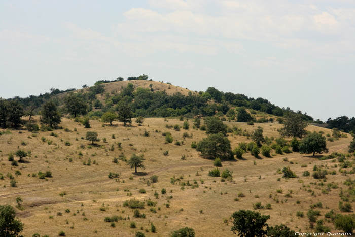 Top de petit mont Izvorishte / Bulgarie 