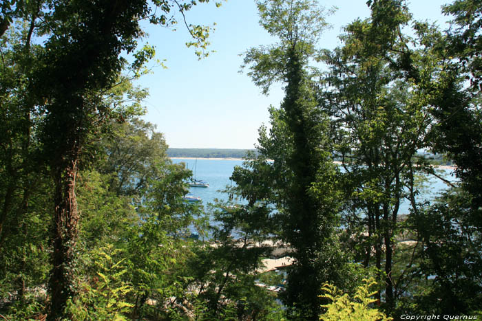 Vue sur la Mer Noire Primorsko / Bulgarie 