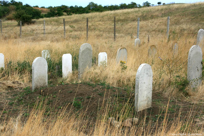 Graveyard Bryastovets / Bulgaria 