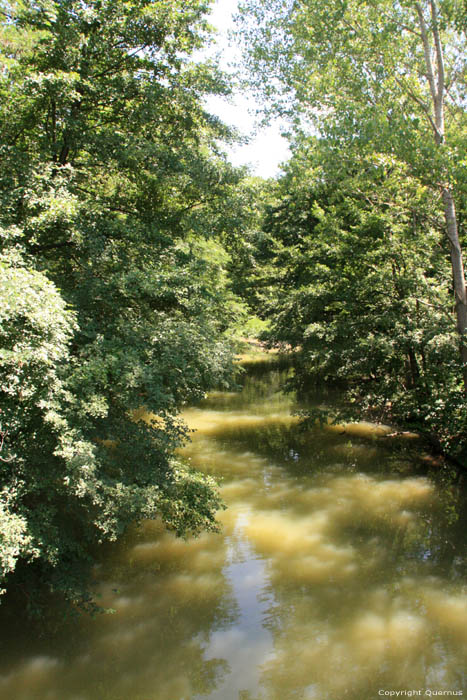 Luda Kamchia river Kamchia / Bulgaria 