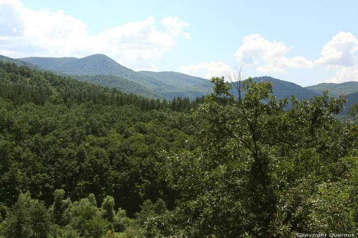 Groen Berglandschap Veselinovo / Bulgarije 