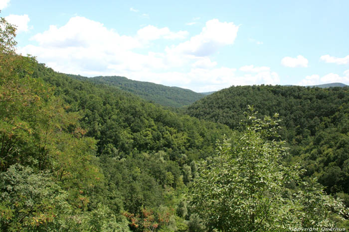 Groen Berglandschap Veselinovo / Bulgarije 