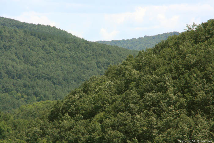 Groen Berglandschap Veselinovo / Bulgarije 