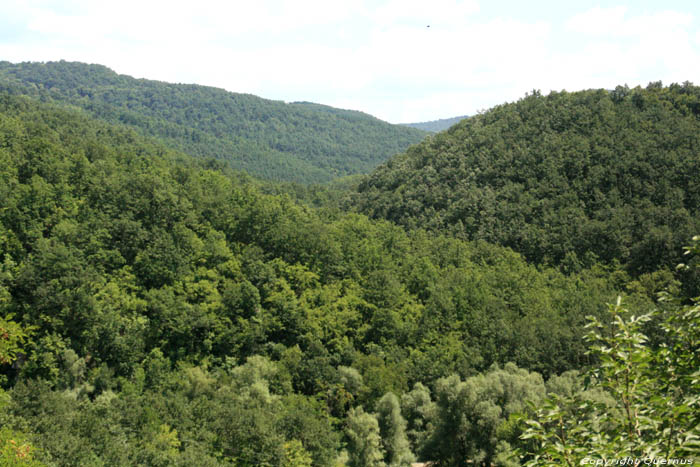 Groen Berglandschap Veselinovo / Bulgarije 