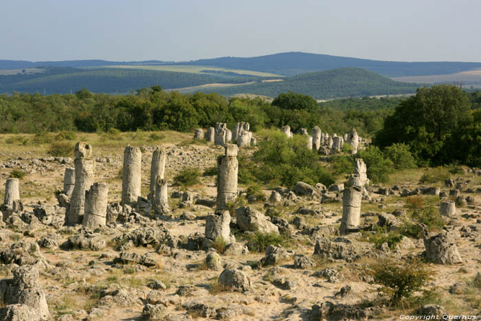 Stoned Forest (Pobiti Kamani) Varna / Bulgaria 