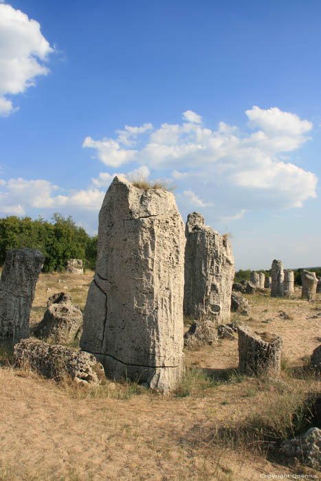 Stoned Forest (Pobiti Kamani) Varna / Bulgaria 