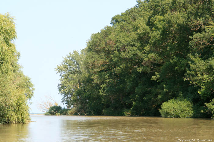 Kamchia Rivier nabij monding Bliznatzi / Bulgarije 