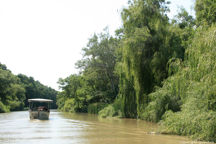 Kamchia Rivier nabij monding Bliznatzi / Bulgarije 