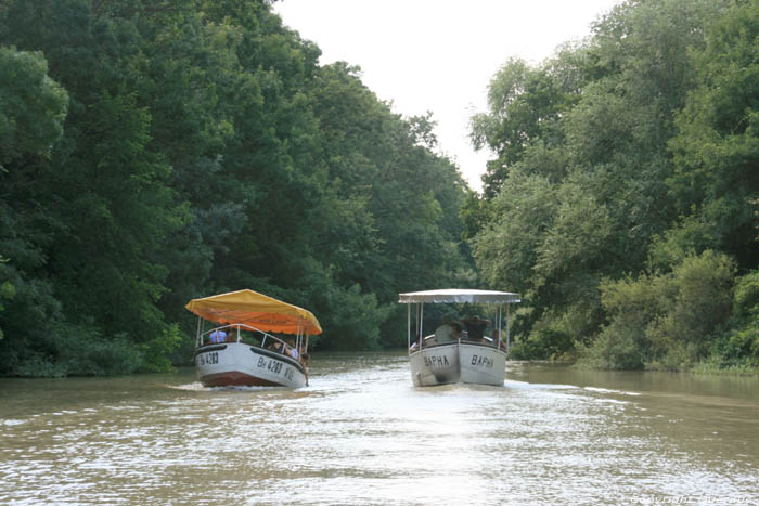 Kamchia Rivier nabij monding Bliznatzi / Bulgarije 