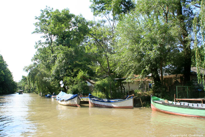 Kamchia Rivier nabij monding Bliznatzi / Bulgarije 