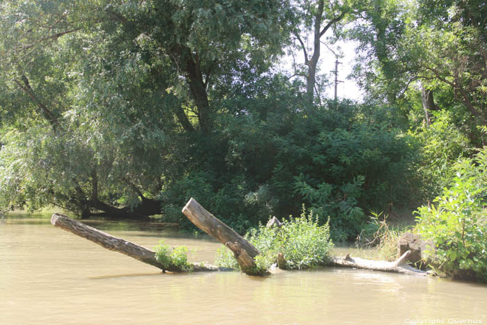 Kamchia Rivier nabij monding Bliznatzi / Bulgarije 