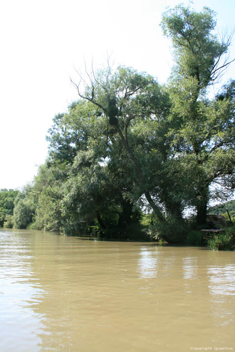 Kamchia Rivier nabij monding Bliznatzi / Bulgarije 