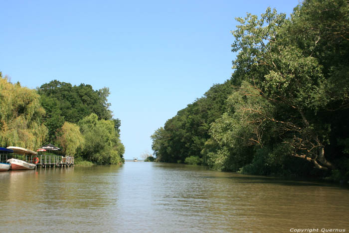 Kamchia Rivier nabij monding Bliznatzi / Bulgarije 