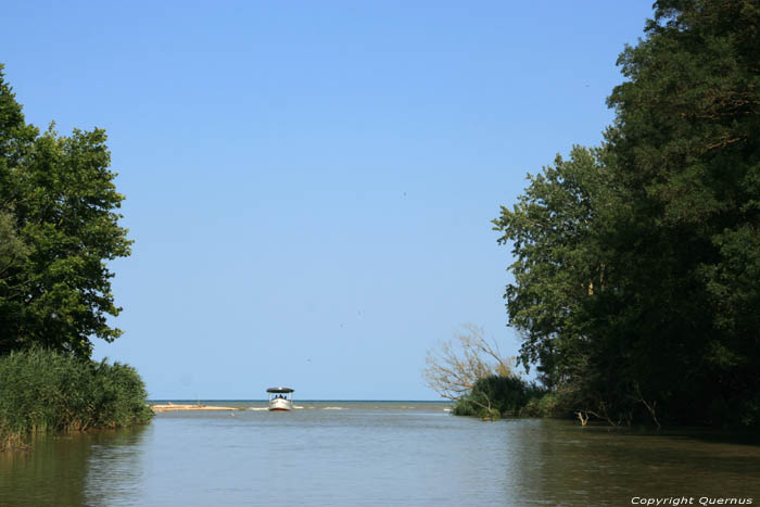 Kamchia Rivier nabij monding Bliznatzi / Bulgarije 