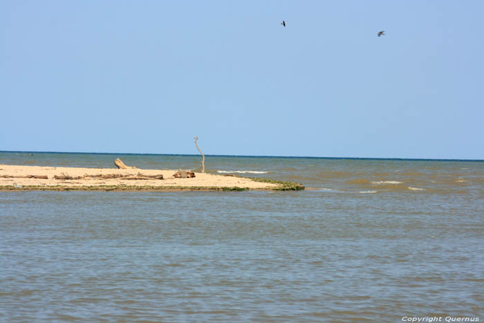 Kamchia Mouth Bliznatzi / Bulgaria 