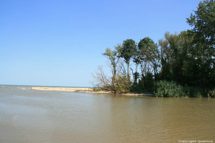 Kamchia Mouth Bliznatzi / Bulgaria 