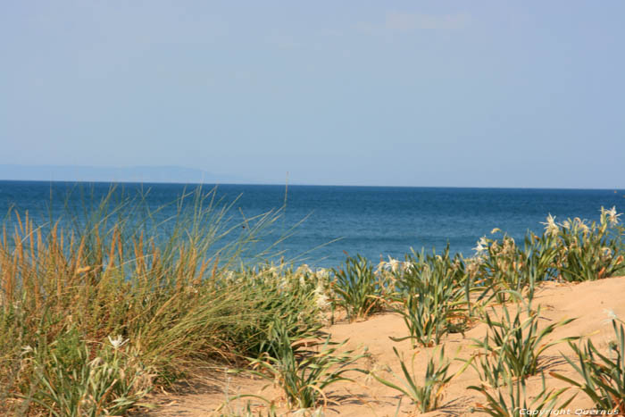 Vue sur Dunes et Mer Noire Dyuny / Bulgarie 