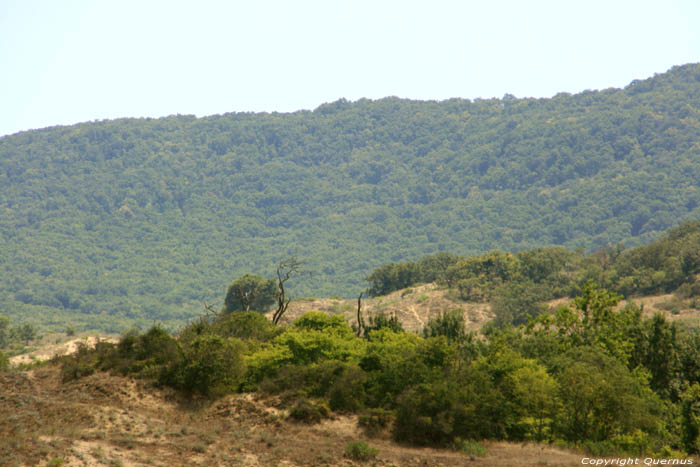 Ropotami Dunes Dyuny / Bulgaria 