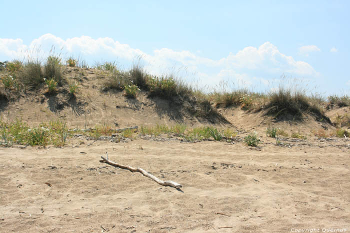 Ropotami Dunes Dyuny / Bulgarie 