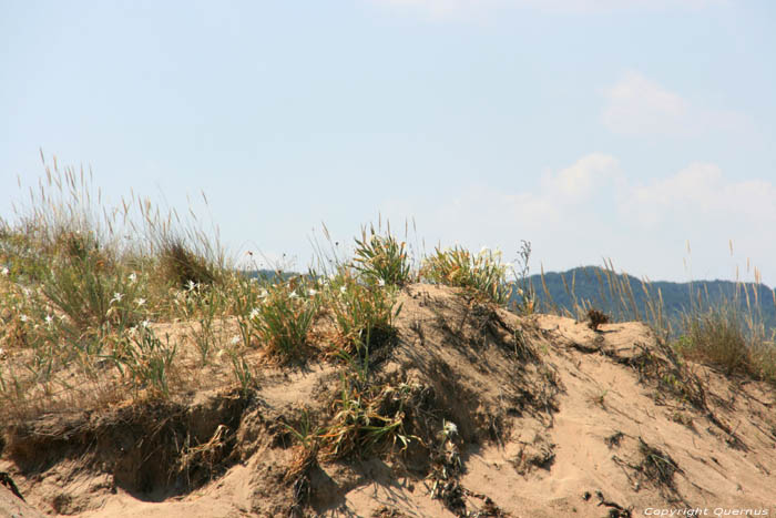 Ropotami Dunes Dyuny / Bulgarie 