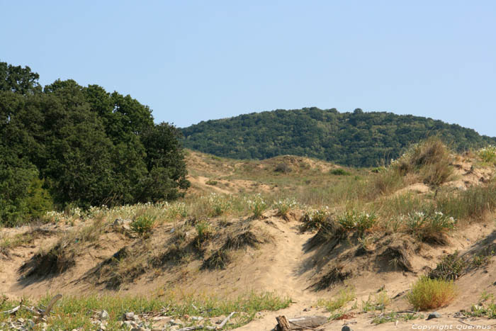 Ropotami Dunes Dyuny / Bulgarie 