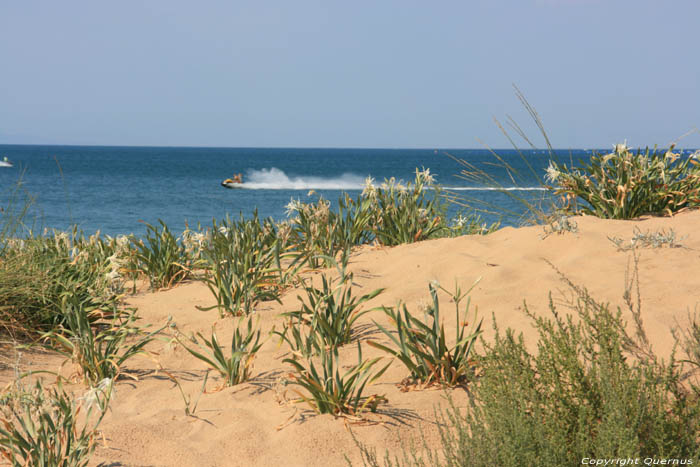 Ropotami Dunes Dyuny / Bulgarie 