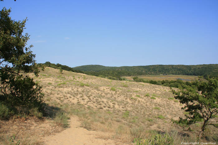 Ropotami Dunes Dyuny / Bulgarie 