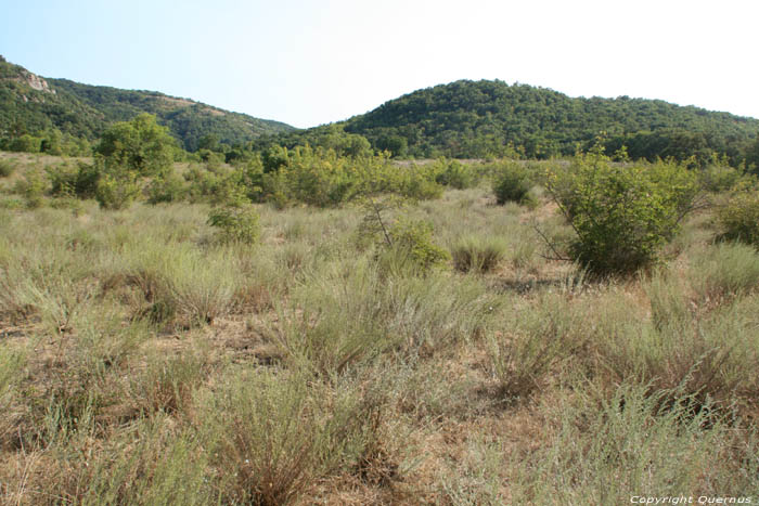 Ropotami Dunes Dyuny / Bulgaria 