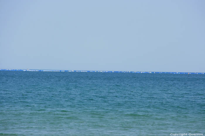 Black Sea Coast Dyuny / Bulgaria 