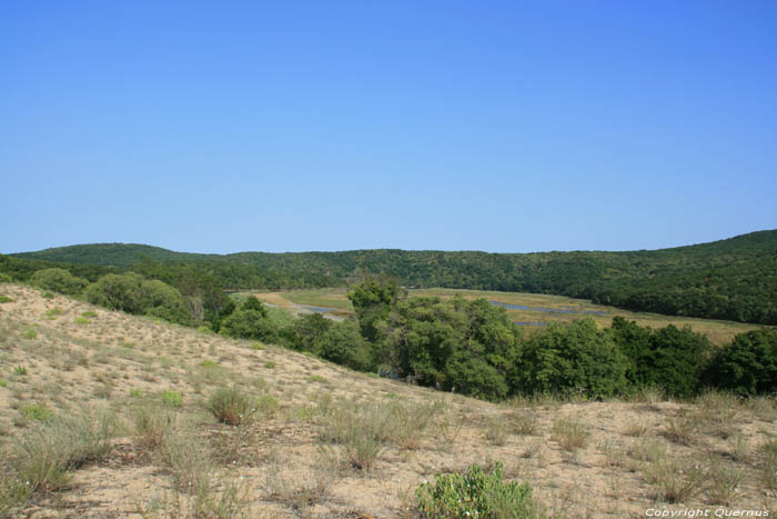 Vue sur Valle de Ropotami Dyuny / Bulgarie 